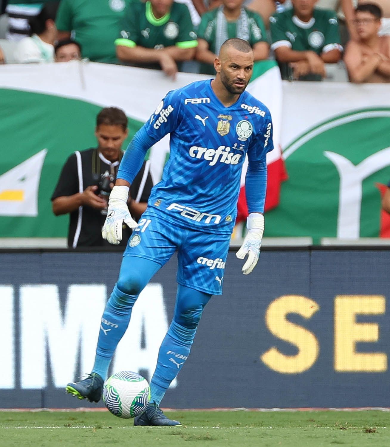 Weverton não defende pênalti? Veja números do goleiro do Palmeiras em decisões de bolas paradas