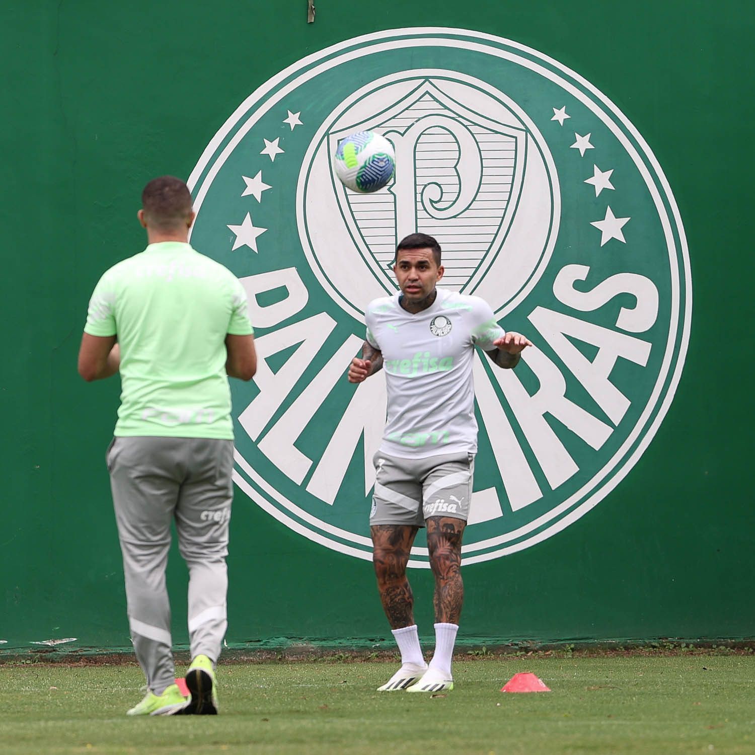 Cinco meses após cirurgia no joelho, Dudu inicia trabalhos em campo no Palmeiras