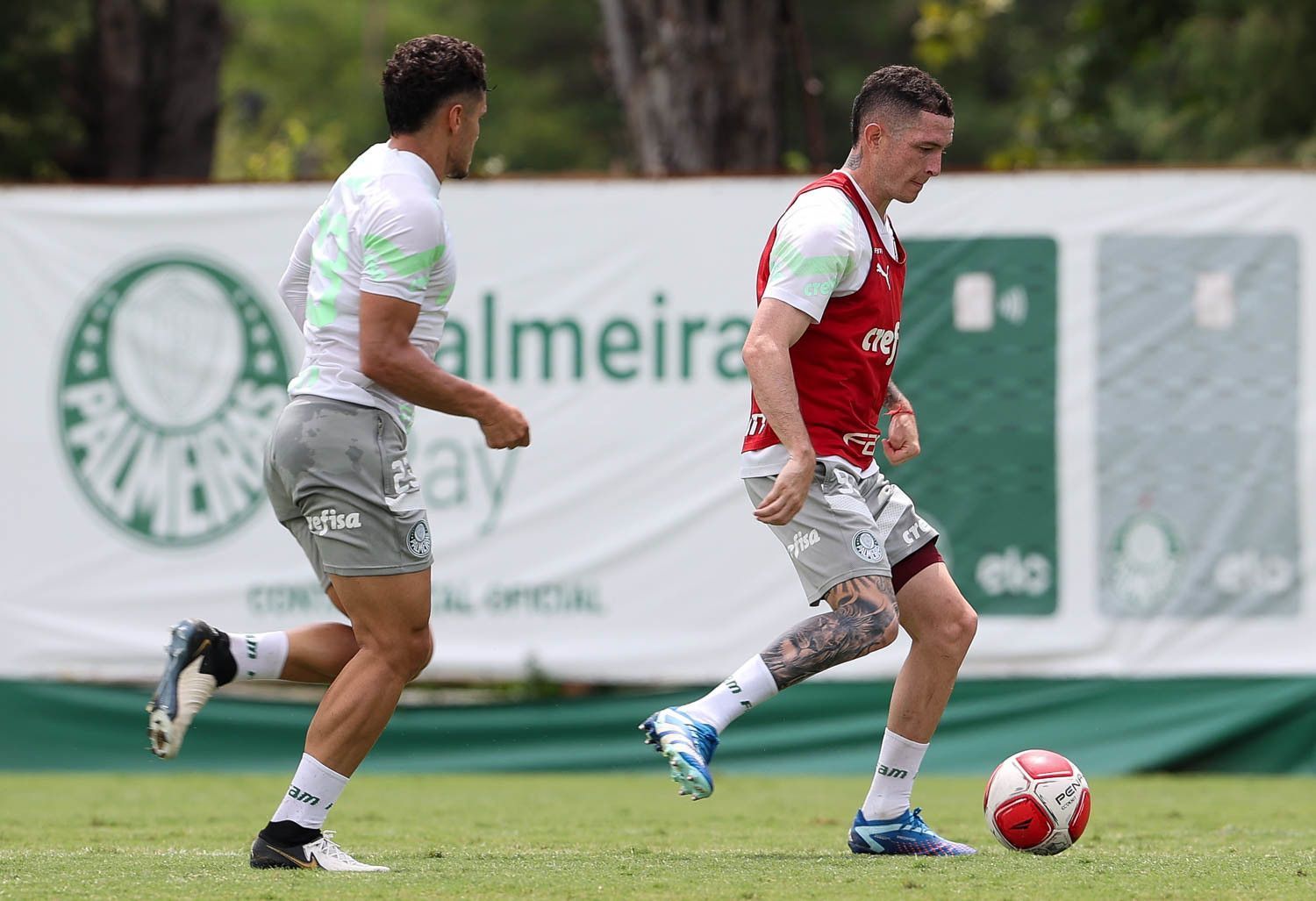 Contra Ituano, Palmeiras retoma foco no Estadual em busca de marca de 90 anos
