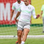 Raphael Veiga se recupera de infecção, mas Palmeiras perde Gómez por lesão no pé