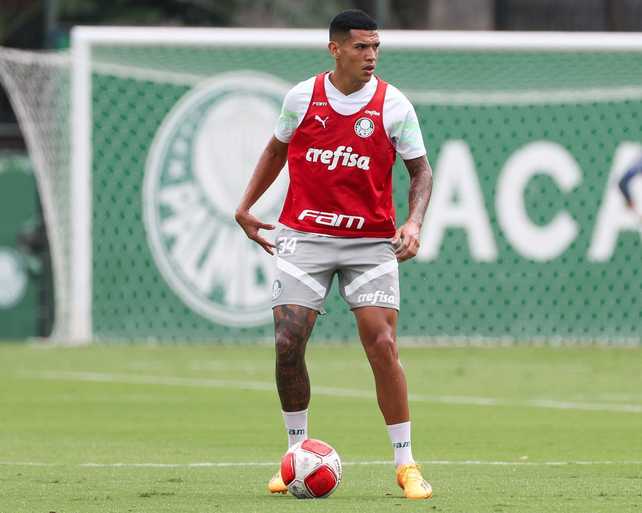 Prata da casa deve ganhar sequência no Palmeiras após lesão de Gómez