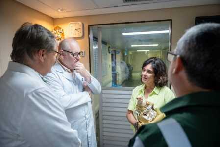 Nísia diz que Ministério da Saúde tem obrigação de proteger mulheres que precisem fazer aborto permitido por lei | CNN Brasil