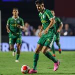 Palmeiras x Botafogo-SP: horário e onde assistir pelo Campeonato Paulista