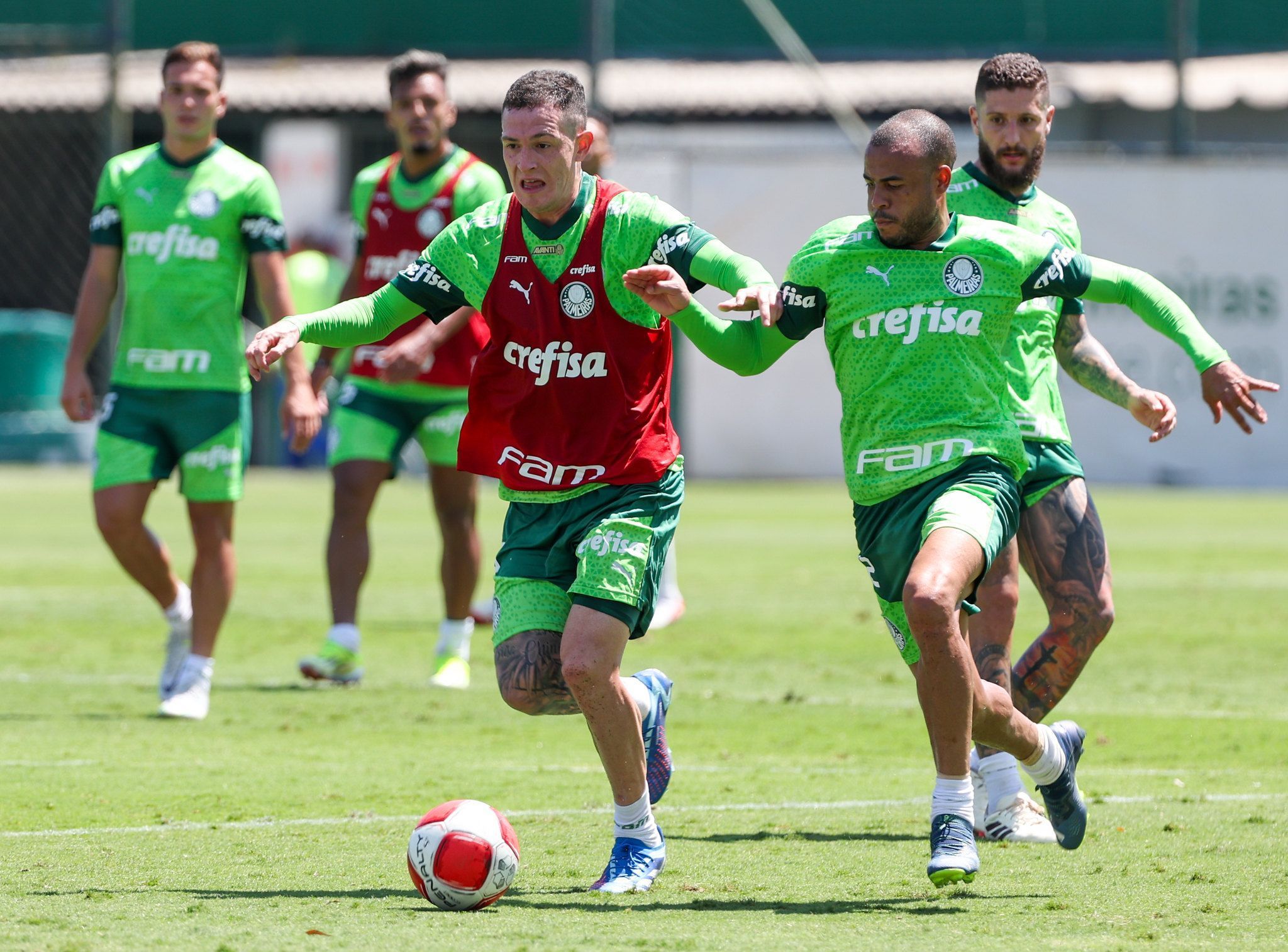 Como o Palmeiras se prepara de olho na Ponte Preta; veja possível escalação