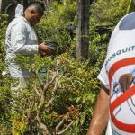 E a dengue continua