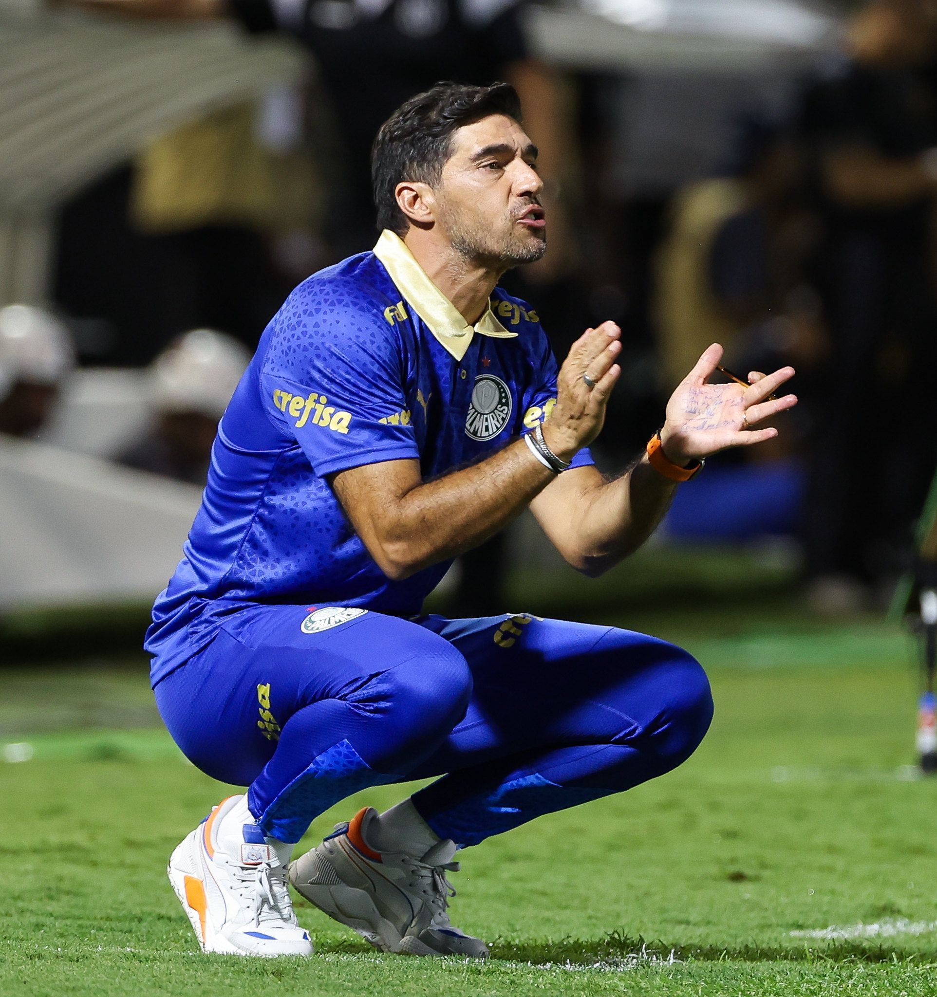 Palmeiras na Libertadores: tabela e data dos jogos