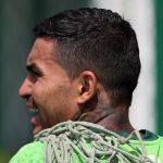 Abel revela quanto tempo o Palmeiras deve ficar sem Dudu após novo problema físico