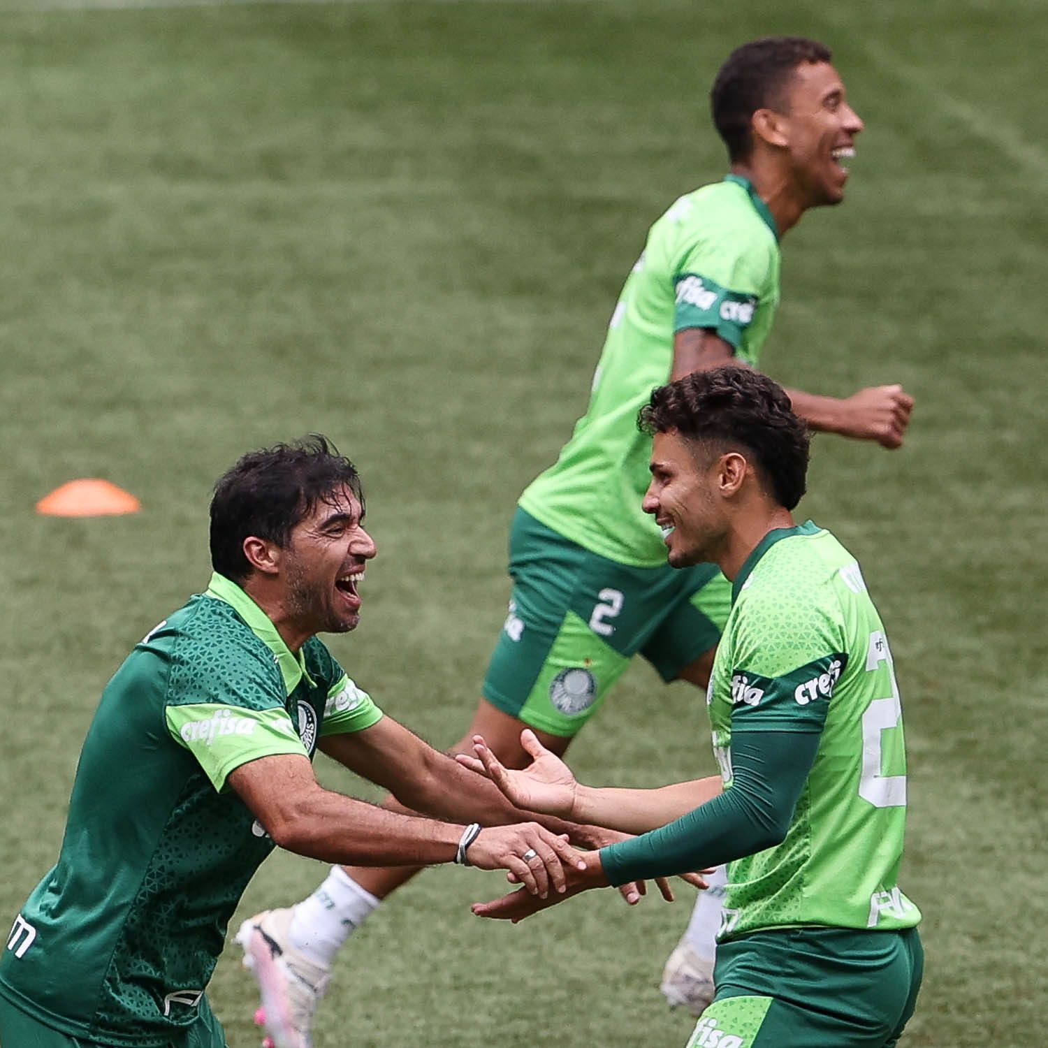 No Allianz, Palmeiras encara Novorizontino e mira 14ª final em quatro anos