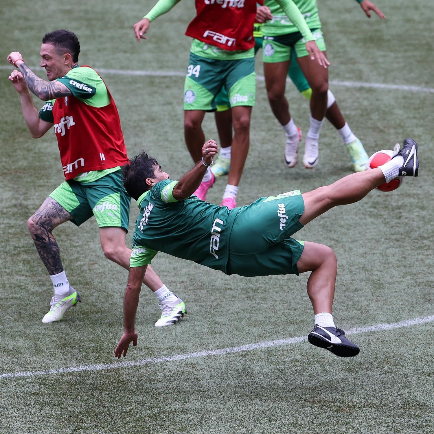 Fotos: com voleio de Abel e convocados, Palmeiras testa grama do Allianz Parque