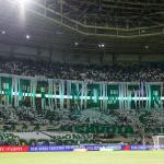 Vai lotar! Palmeiras atualiza parcial de ingressos vendidos para duelo com Santos