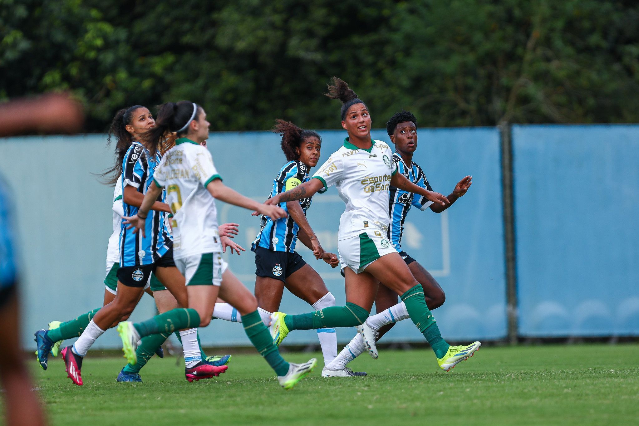 Grêmio perde para o Palmeiras em casa pelo Brasileirão Feminino