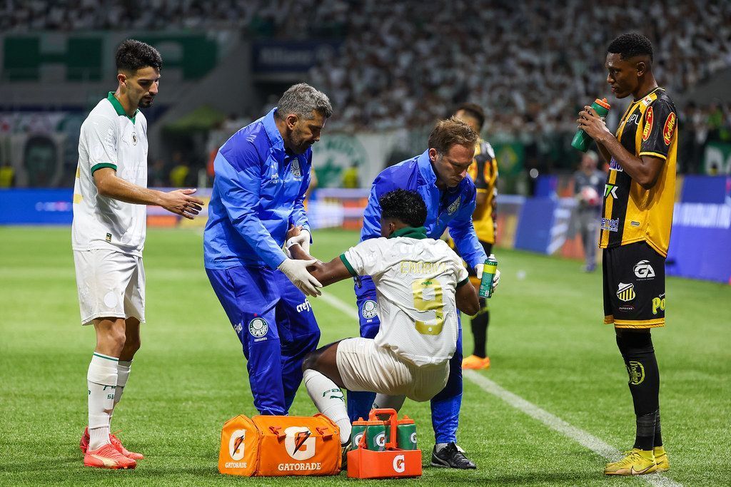 Vai jogar? Entenda situação de Endrick, do Palmeiras, antes de jogo decisivo