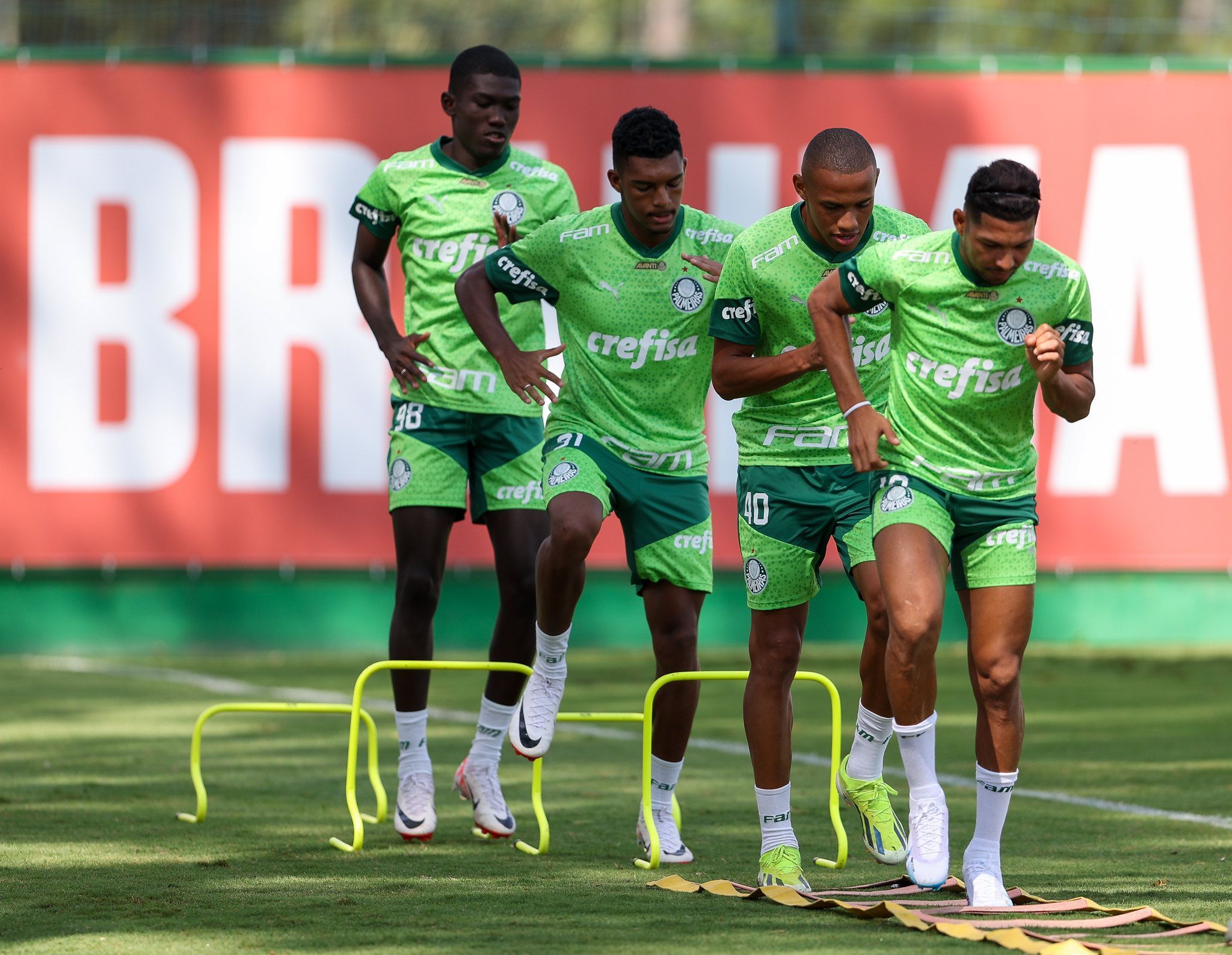 San Lorenzo x Palmeiras: Alviverde inicia Copa Libertadores por novo recorde