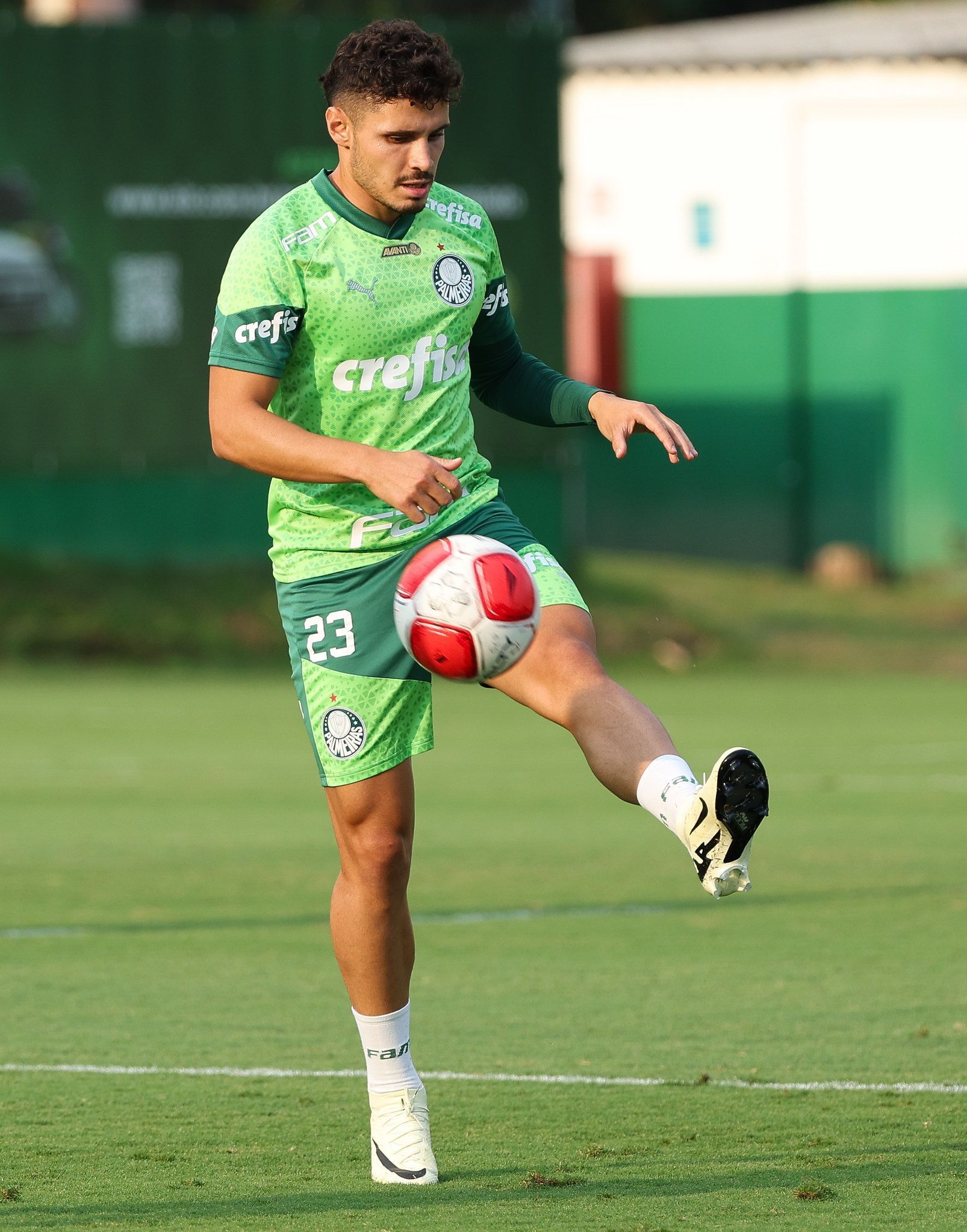 Veiga pede foco no Palmeiras pelo tricampeonato brasileiro: 'Faremos de tudo'