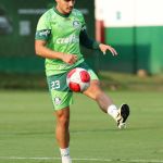 Veiga pede foco no Palmeiras pelo tricampeonato brasileiro: 'Faremos de tudo'