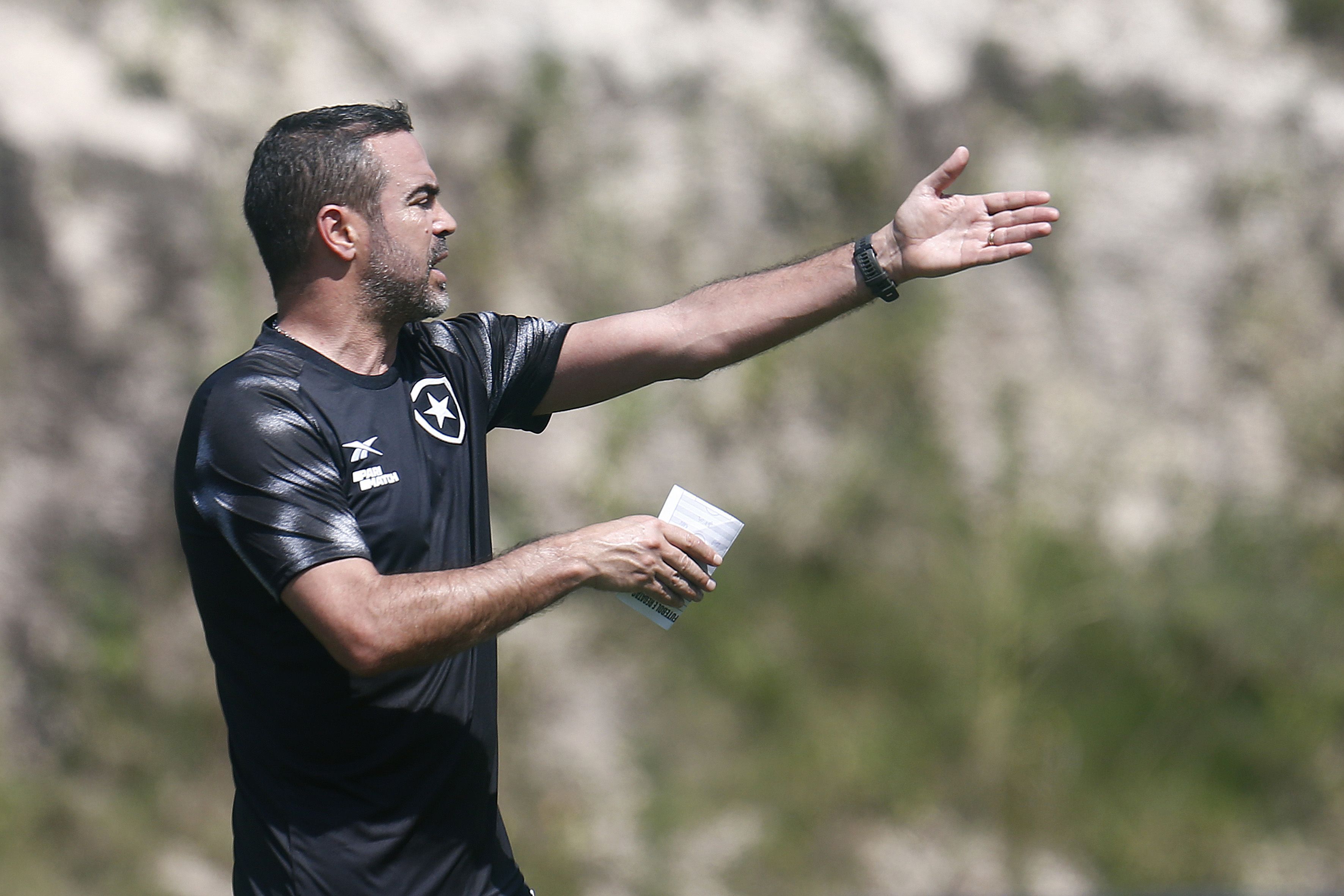 Botafogo no Brasileirão 2024: ficha, elenco, ambições e análise