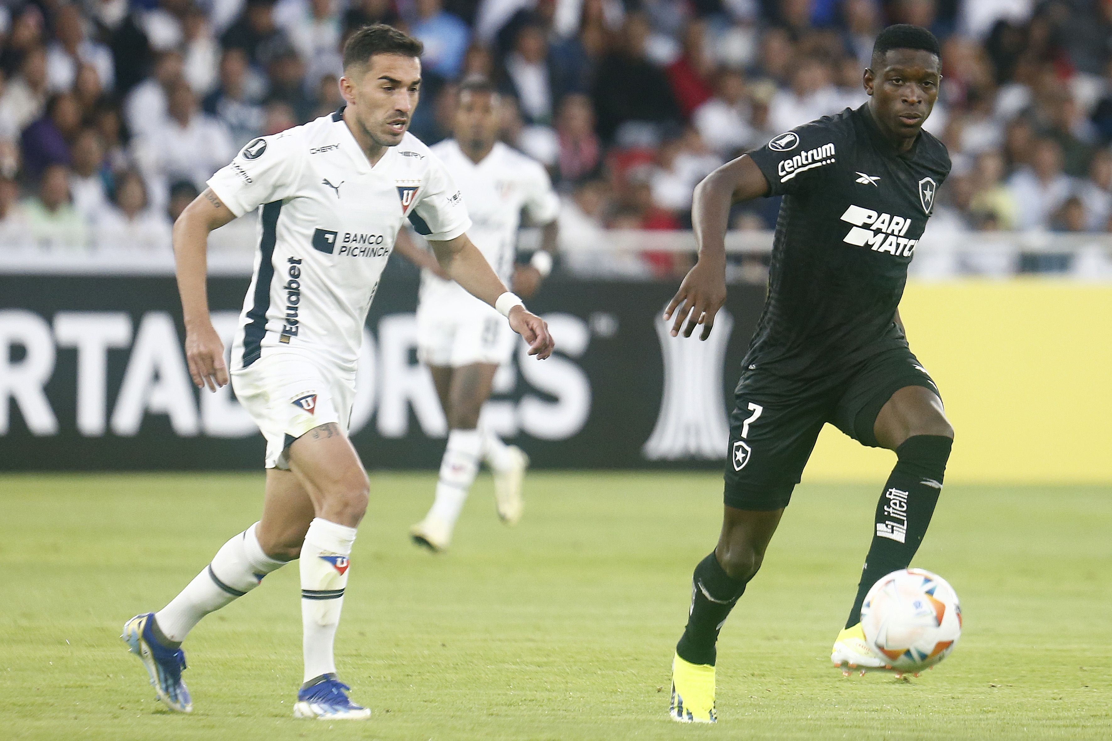 Botafogo x LDU: veja prováveis formações para jogo da Libertadores