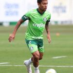 Palmeiras x Internacional: horário e onde assistir ao vivo pelo Campeonato Brasileiro