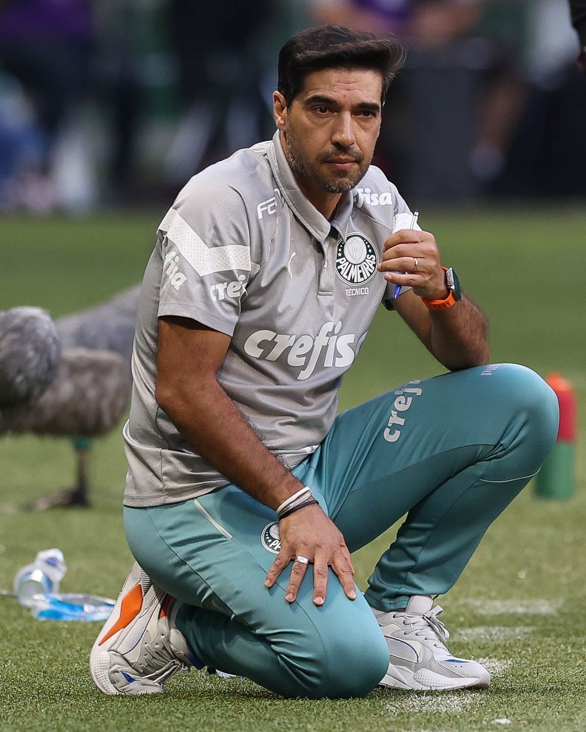 Al-Sadd aciona Abel Ferreira, do Palmeiras, na Fifa e alega descumprimento de acordo