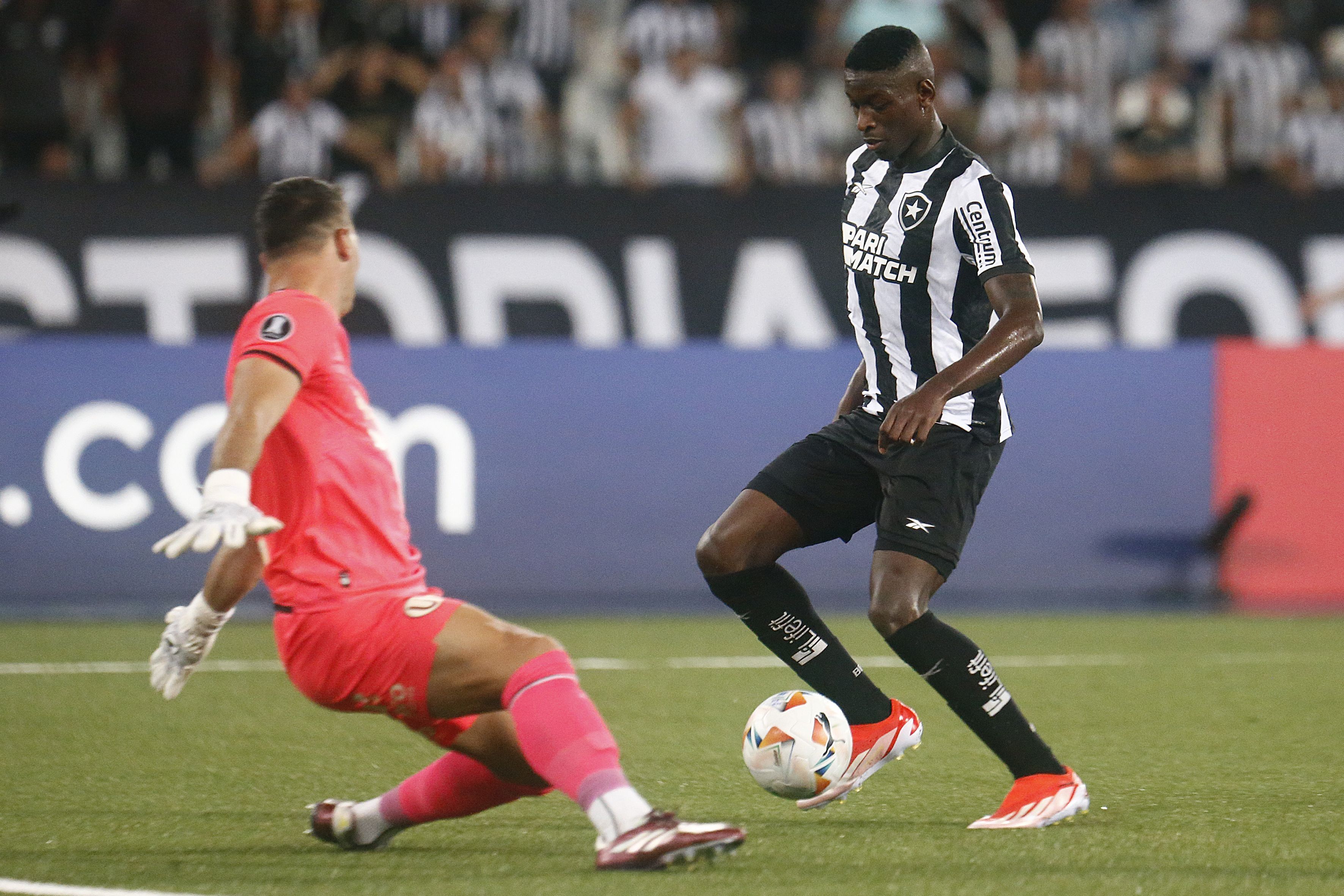 Botafogo enfrenta o Universitario por vaga antecipada na Libertadores