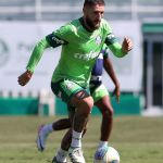 Palmeiras pede efeito suspensivo a Zé Rafael e entra com recurso no STJD