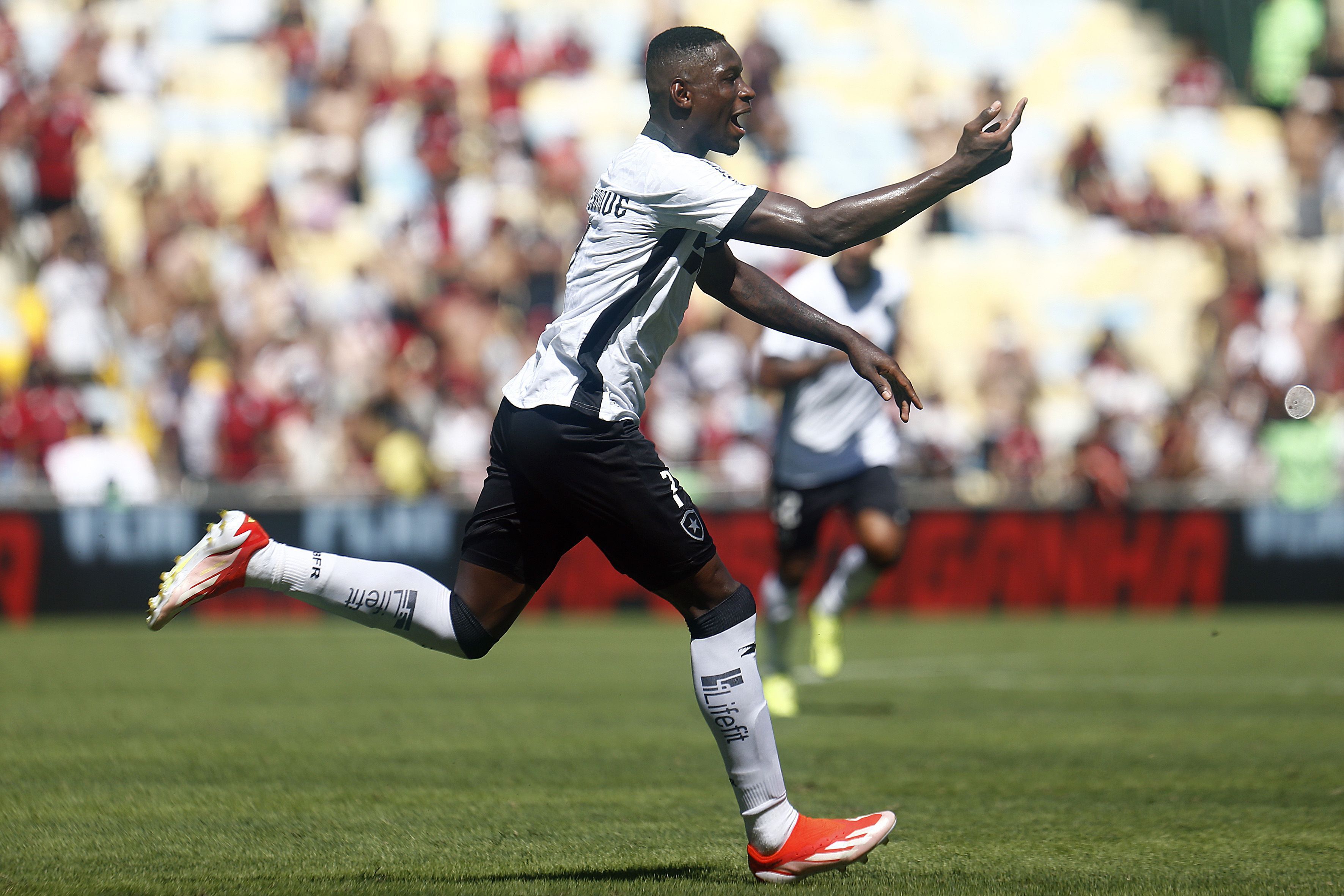 Botafogo vence o Flamengo e assume a liderança do Brasileirão