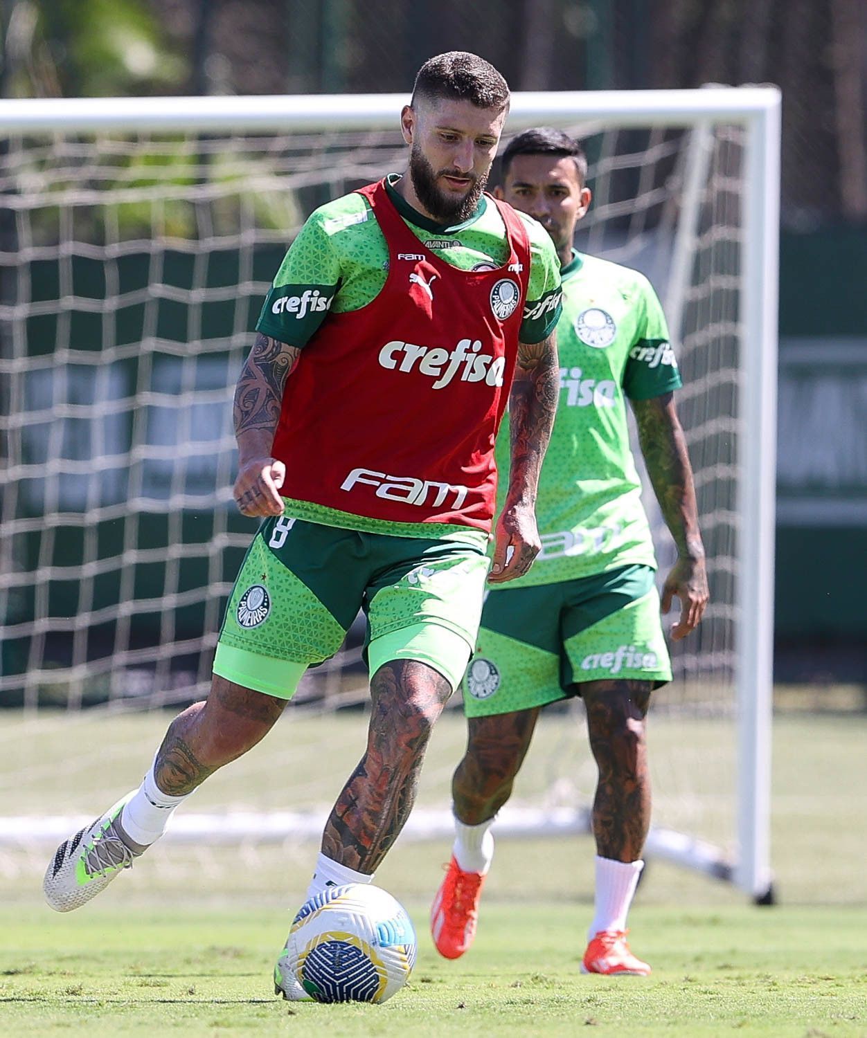 Zé Rafael treina em tempo integral e pode reforçar Palmeiras