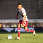 Diogo Barbosa rebate críticas da torcida contra Fernando Diniz, do Fluminense