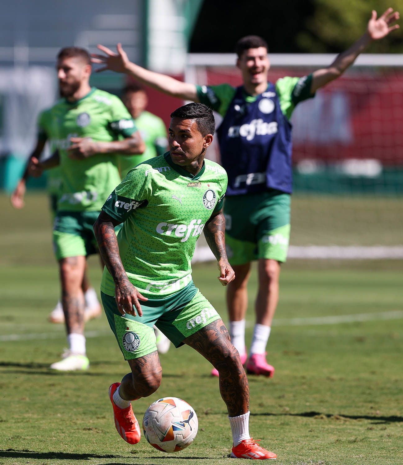 Palmeiras faz jogo-treino contra time do interior de São Paulo