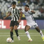Botafogo 2 x 1 LDU: veja os gols e melhores momentos de jogo da Libertadores