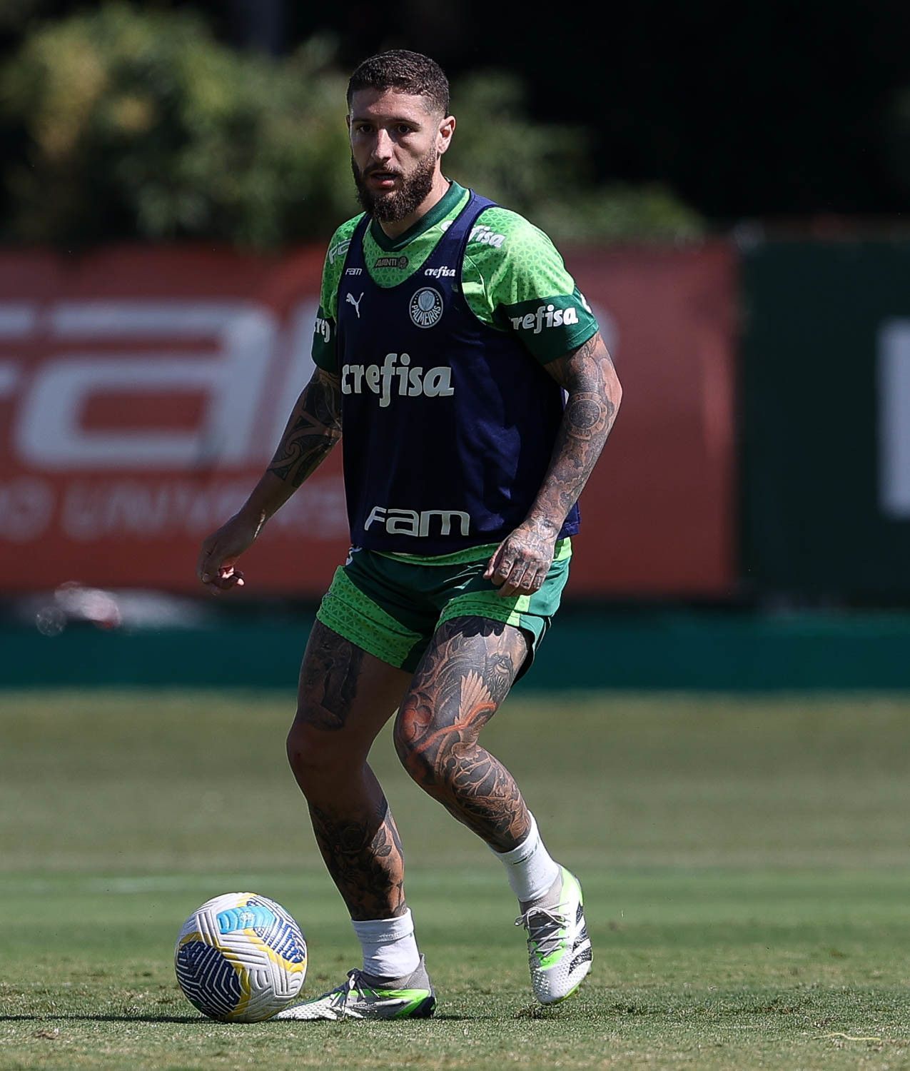 Palmeiras tem três jogadores em pré-lista de Dorival Jr para Copa América