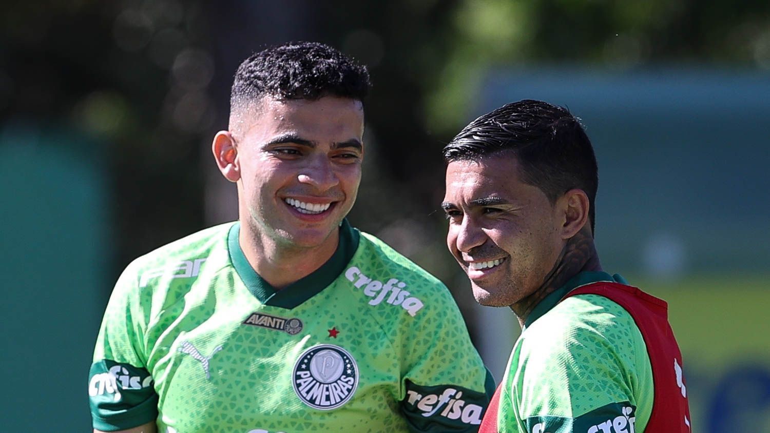 Palmeiras x Del Valle: horário e onde assistir ao vivo pela Copa Libertadores