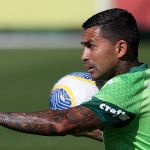 Investigado por golpe de mais de R$ 20 milhões em Dudu, do Palmeiras, é preso