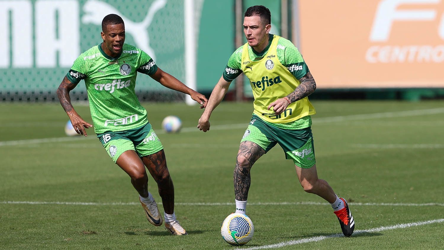 Volante titular do Palmeiras inicia transição e pode jogar na Copa do Brasil