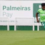 Volta do Brasileirão: Endrick, Abel e mais quatro estão fora de Palmeiras x Criciúma