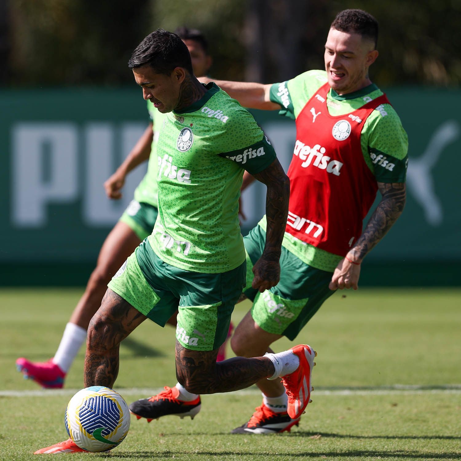 Escalação do Palmeiras: com Aníbal, time encerra treino para jogo com Botafogo-SP