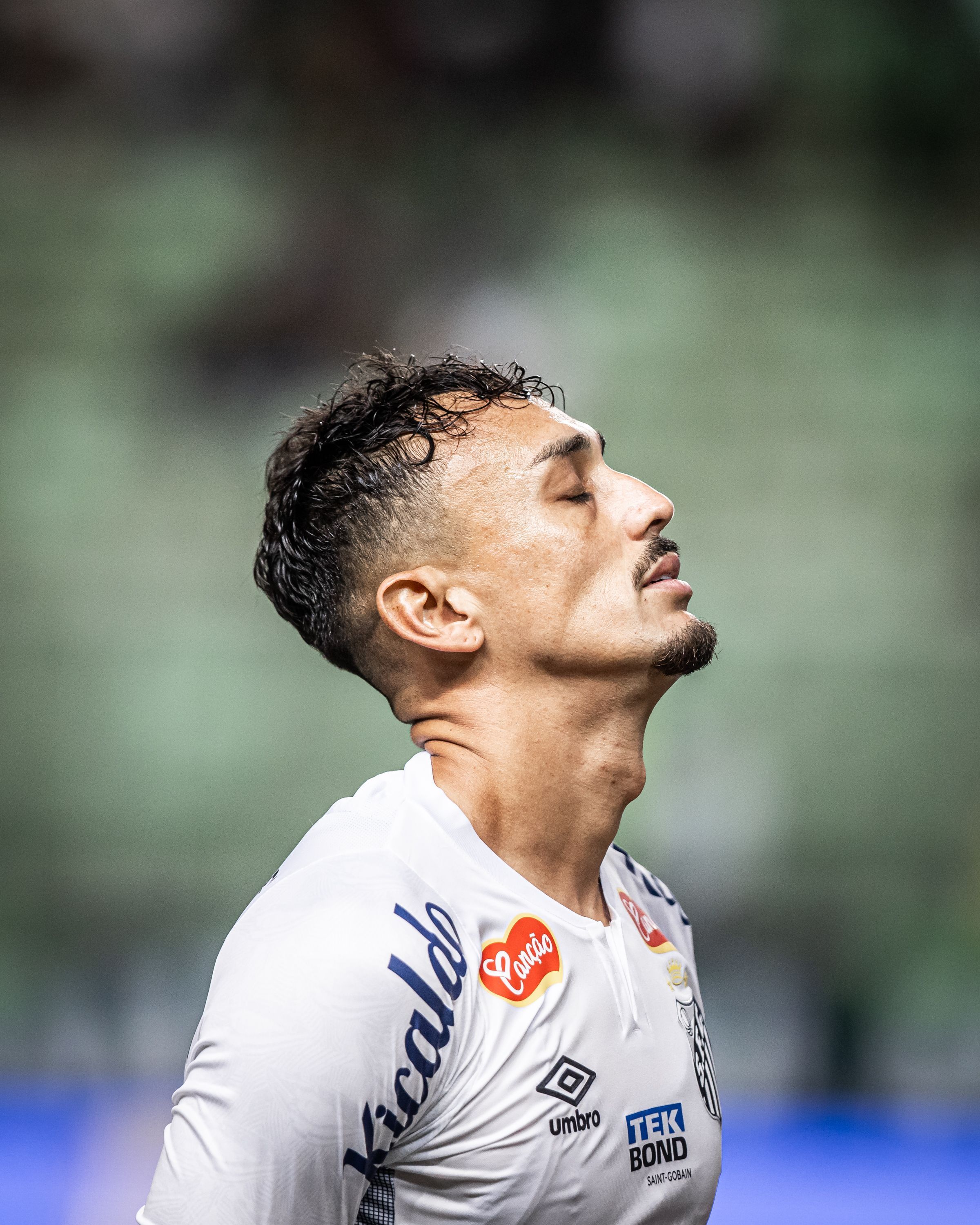 Mirassol x Santos: horário e onde assistir ao vivo pela Série B