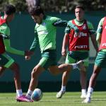 Sem Abel e mais cinco, Palmeiras visita o modificado Criciúma pela Série A