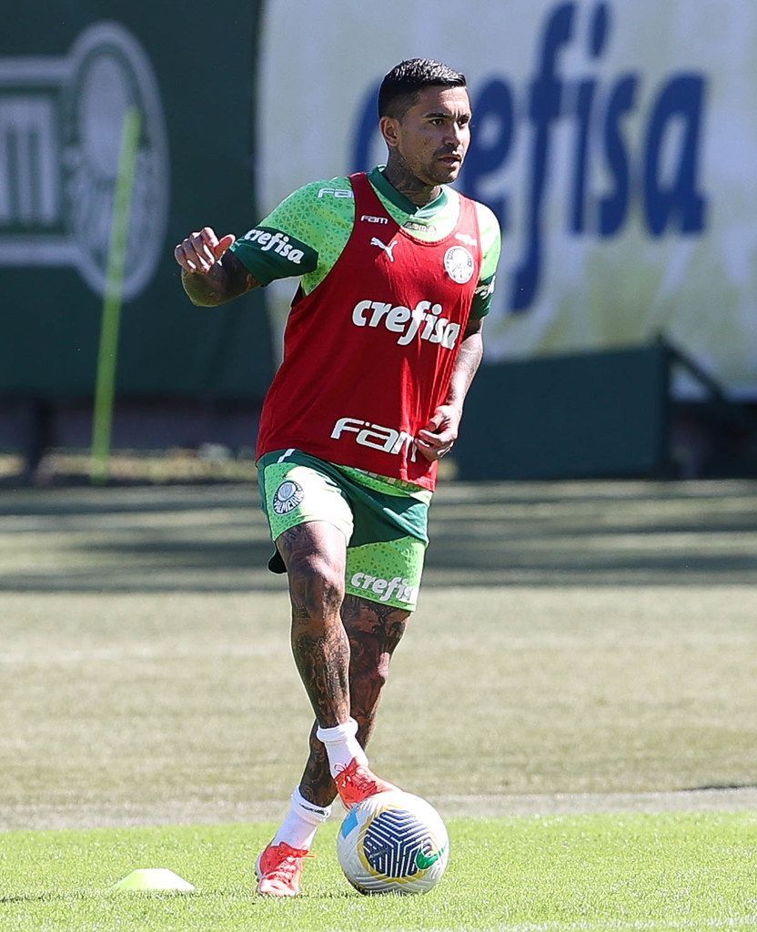 Como os torcedores de Cruzeiro e Palmeiras reagiram à transferência de Dudu