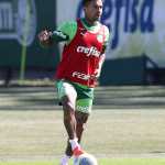 Como os torcedores de Cruzeiro e Palmeiras reagiram à transferência de Dudu