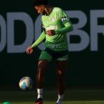 Palmeiras x Corinthians: zagueiro tem entorse no tornozelo e vira dúvida
