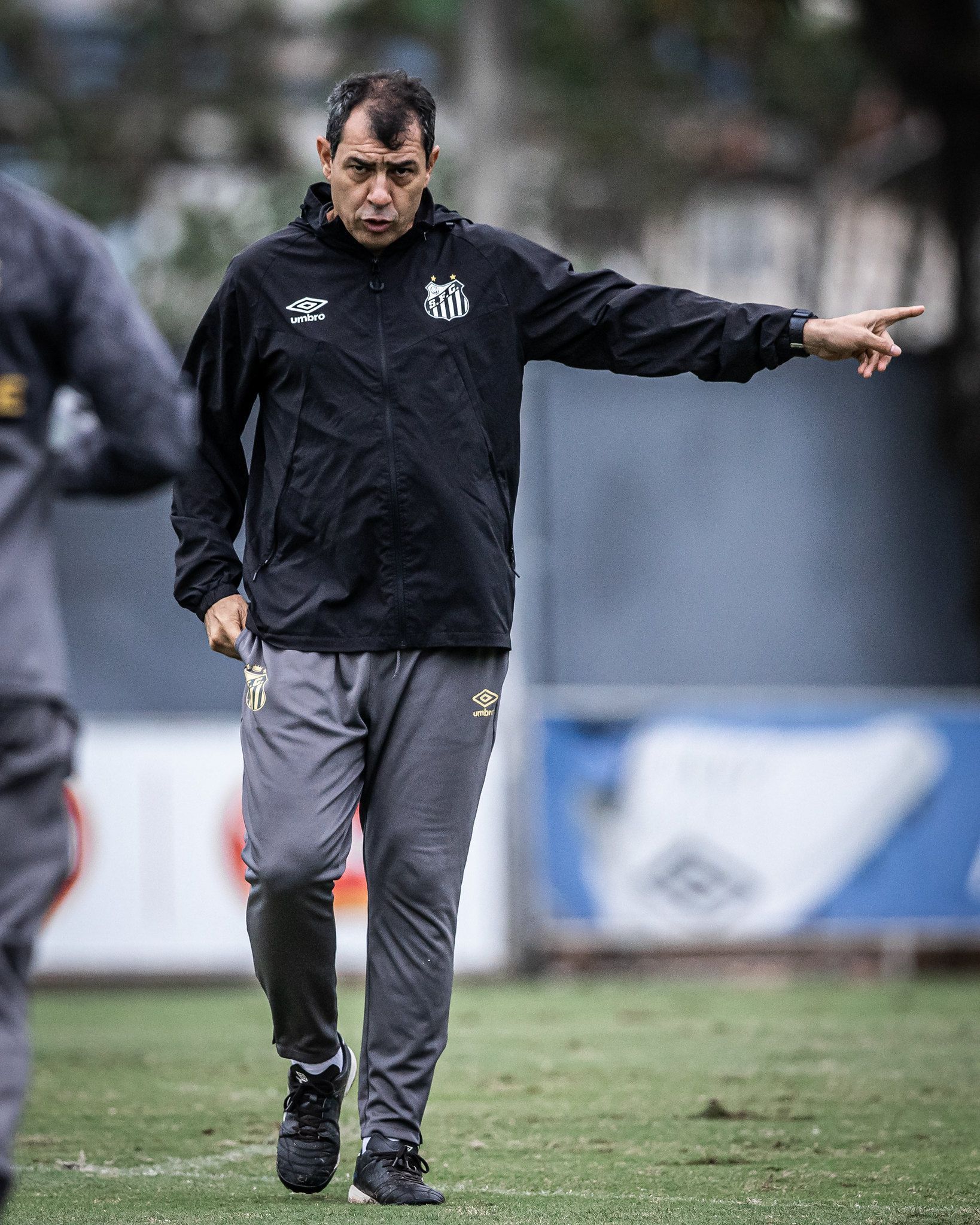 Com novidades, Santos recebe Chapecoense para voltar ao G4 da Série B