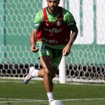 Felipe Anderson se apresenta, e Palmeiras atualiza situação de Zé Rafael