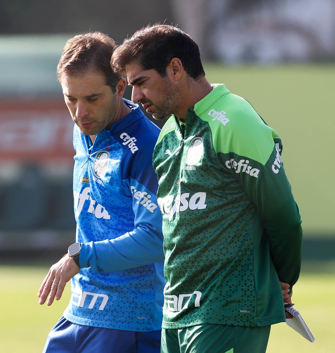 Titular se recupera, e Palmeiras 'limpa' departamento médico