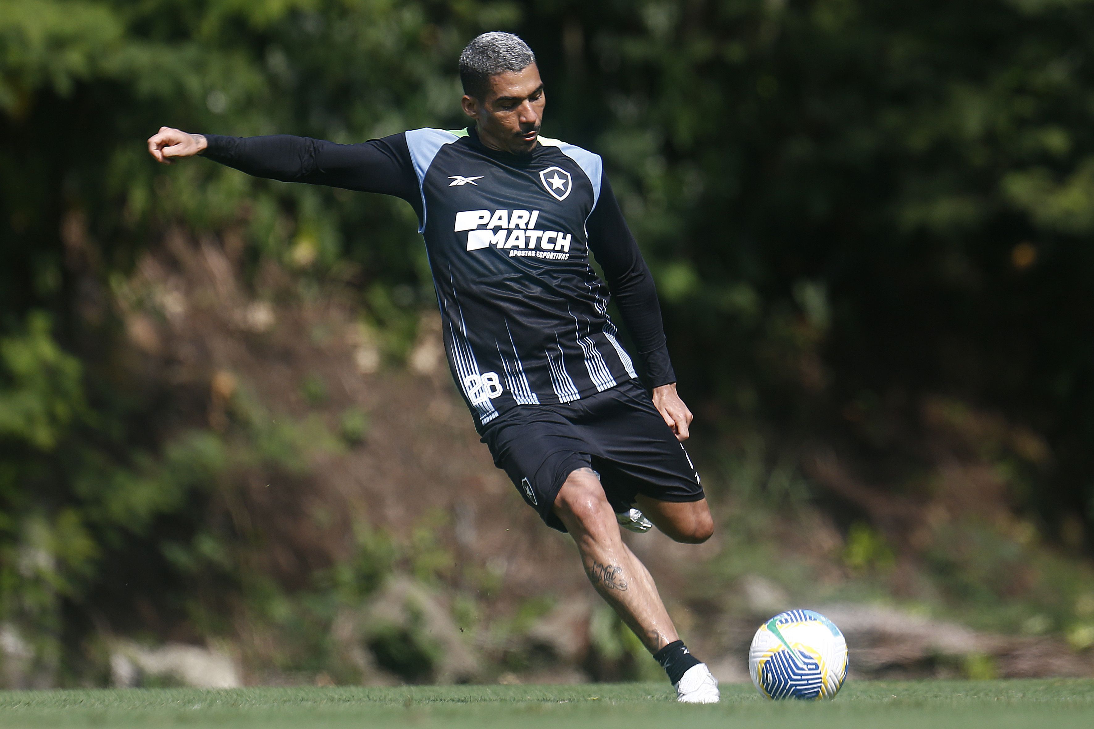 Botafogo x Palmeiras: Allan é regularizado e fica à disposição de Artur Jorge
