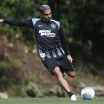 Botafogo x Palmeiras: Allan é regularizado e fica à disposição de Artur Jorge