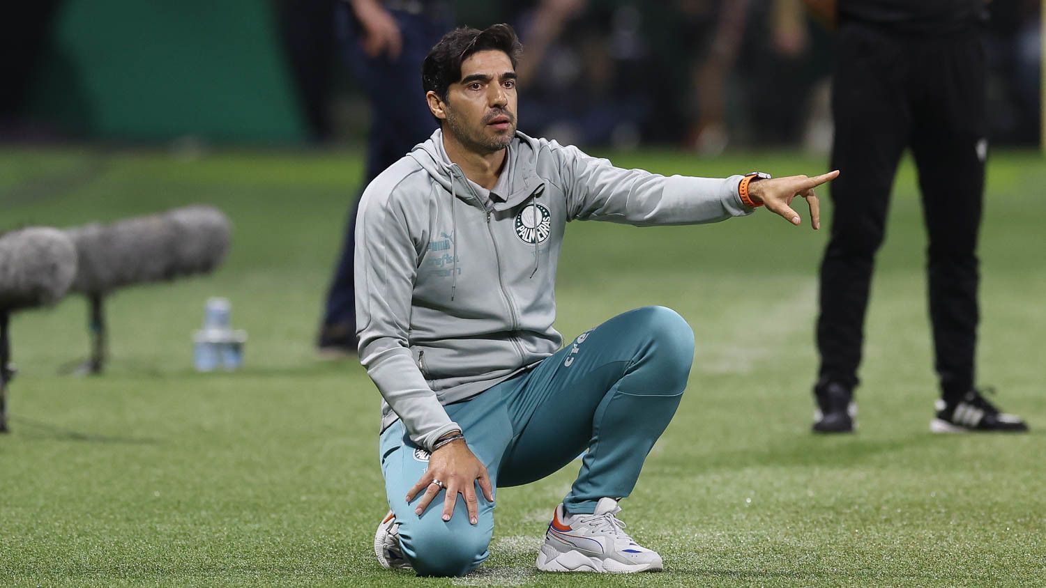 Quarteto do Palmeiras terá teste na Copinha antes de integrar o profissional