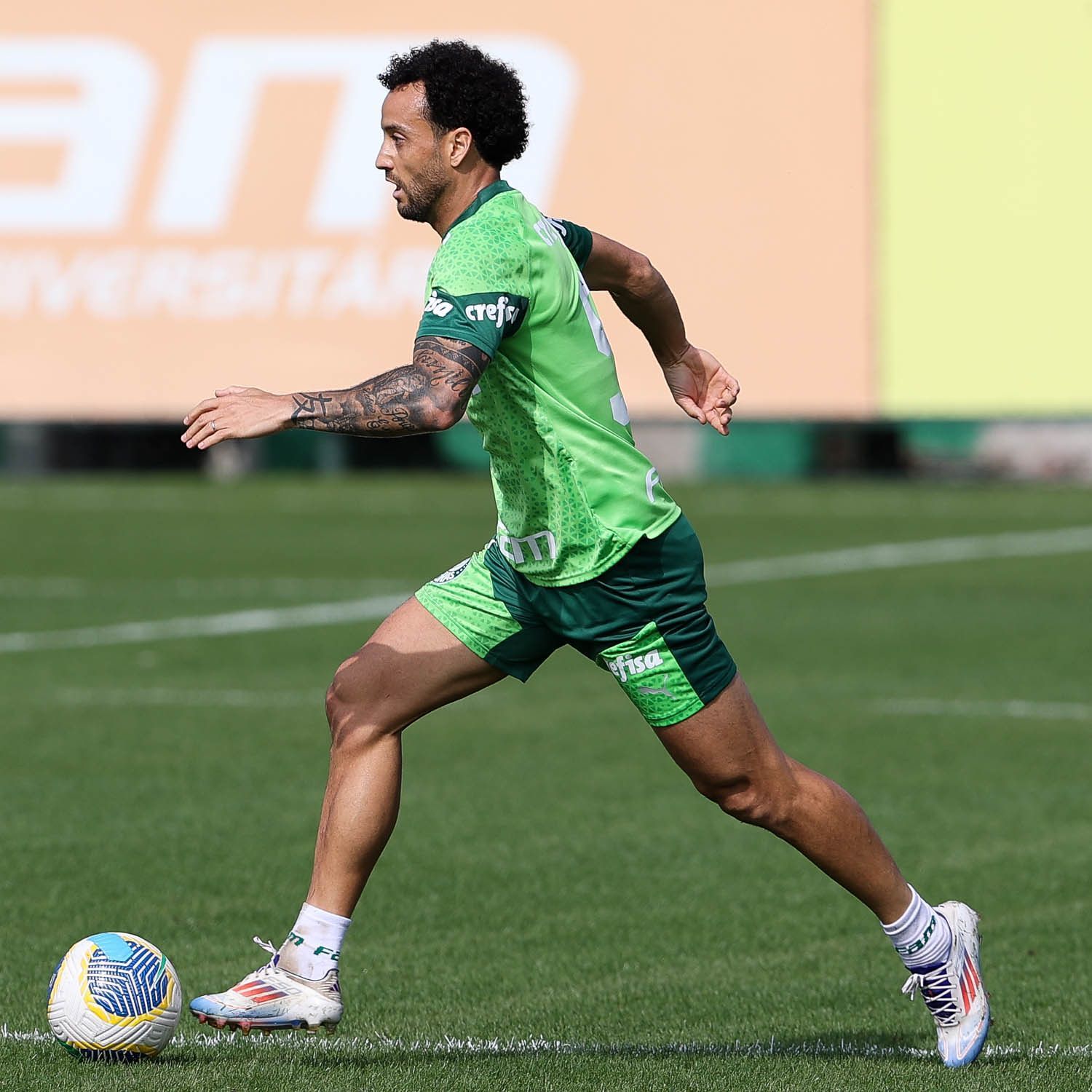 Palmeiras pode ter reforços contra Botafogo; destaque da Copa América é desfalque