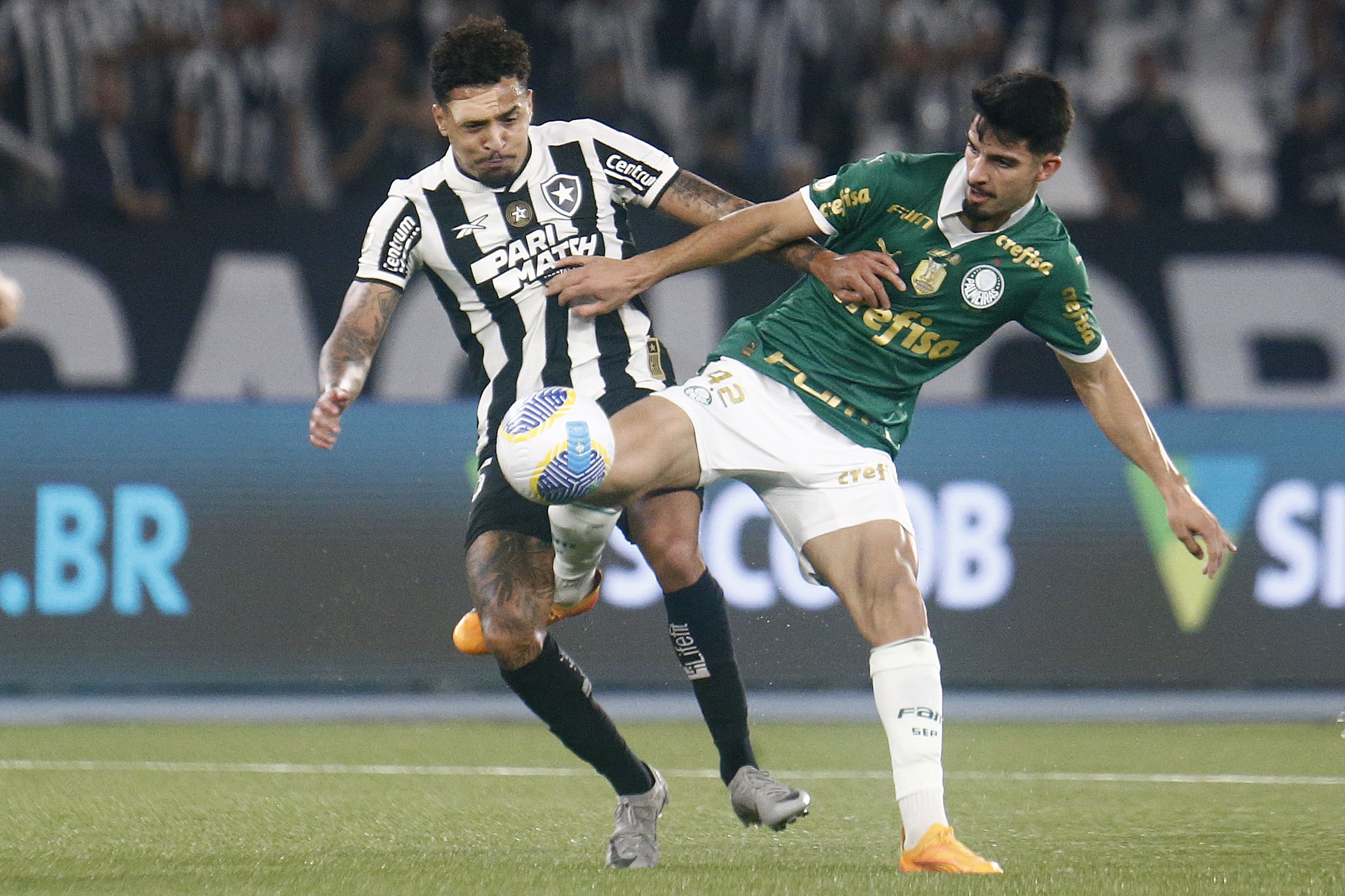 Botafogo x Palmeiras: horário e onde assistir ao vivo pela Copa Libertadores