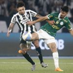 Campanha do Botafogo na Libertadores deve alterar 'final' contra o Palmeiras